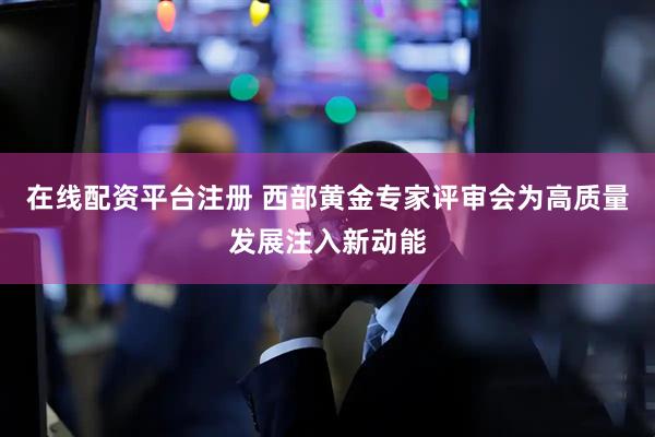 在线配资平台注册 西部黄金专家评审会为高质量发展注入新动能