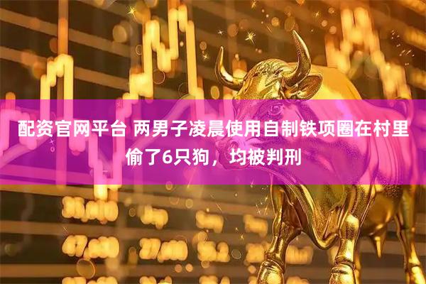 配资官网平台 两男子凌晨使用自制铁项圈在村里偷了6只狗，均被判刑